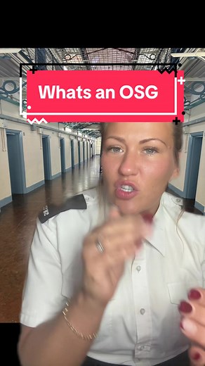 Understanding the Role of OSG in UK Prisons