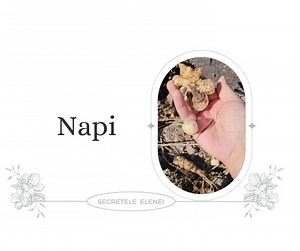 509K views · 10K reactions | ~Cum consumăm Napi Topinambur~...