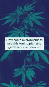 🤔 What is a pro forma, and why does it matter for your cannabis business?
