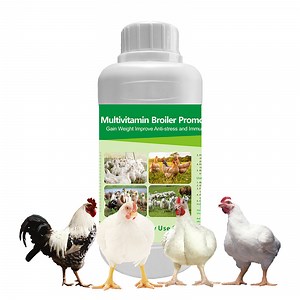 [Hot Item] Multivitamin Broiler Oral Solution Chicken Growth Booster Vitamin Supplement