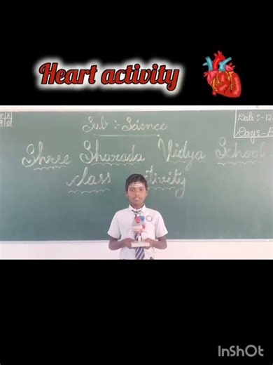 7th science activity