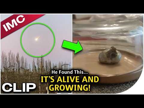 Man Finds "Alien" Creature In His Backyard, And it's Not what we think!