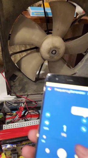 Exploring Steren Frequency Generators