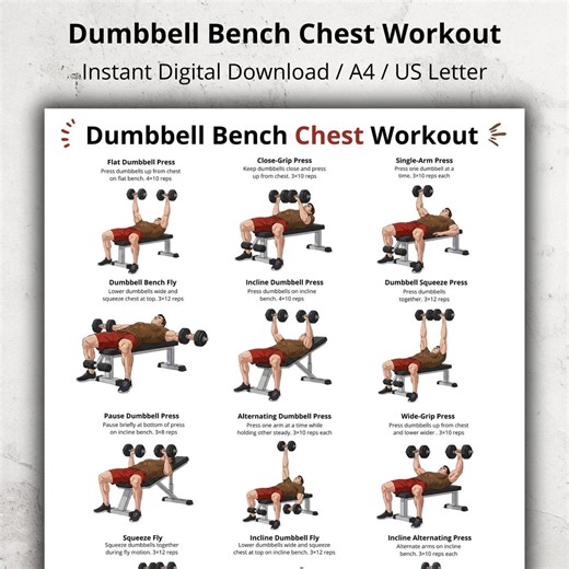 Dumbbell Bench Chest Exercises Poster – Dumbbell Chest Workout on Flat & Incline Bench for Home and Gym, Upper Body Dumbbell Workout Chart - Etsy
