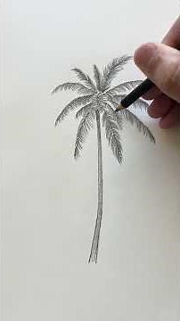 How to draw a palm tree! Follow along & tell me what you wanna see next! #drawingtutorial palmtree