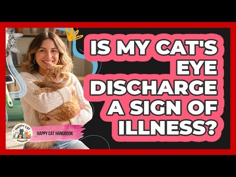 Is My Cat's Eye Discharge A Sign Of Illness?