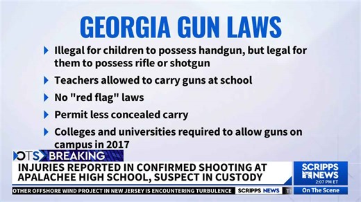 Taking a closer look at Georgia's gun laws in the wake of deadly high school shooting