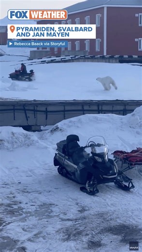 Watch as a man fires a gun toward an approaching polar bear in the Arctic town of Pyramiden. As the bear charges, the man runs away, drops his weapon and then hops onto a snowmobile to escape the animal. | FOX Weather