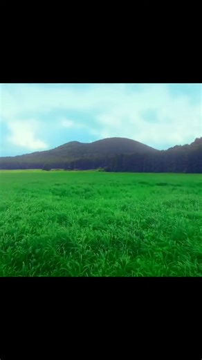 B.A.P - Honeymoon: A Musical Journey in K-Pop