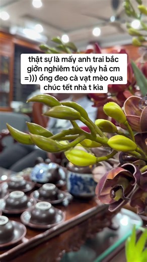Chúc Tết Độc Đáo Với Cà Vạt Mèo