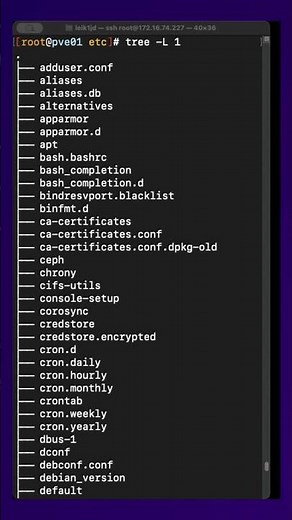 Secrets of the /etc Directory Revealed!