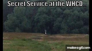 Monty Python and The Holy Grail -- Lancelot Running on Make a GIF
