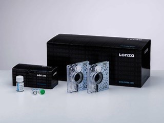 P3 Primary Cell 4D-Nucleofector™ LV Kit L | Lonza