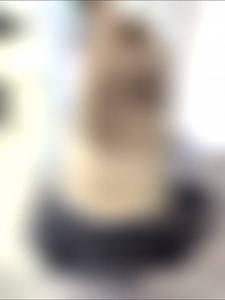 Vorher -> Nachher ✨ Sarah erarbeitete hier eine Foilyage - Technik mit anschließendem Glossing. 珞 #londaprofessional #foilyagetechnique #blondehaare #gloss #hairflairgroßröhrsdorf | Hair Flair - Friseur, Kosmetik & Wellness | Facebook