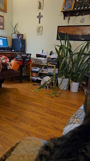 Jim Freeman on Reels