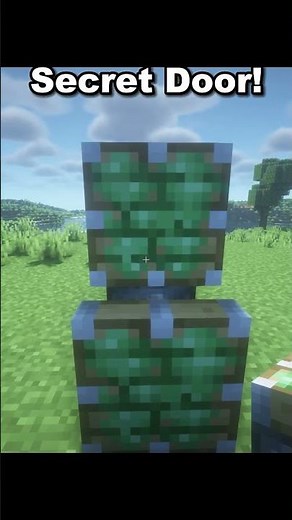Minecraft Secret Door!