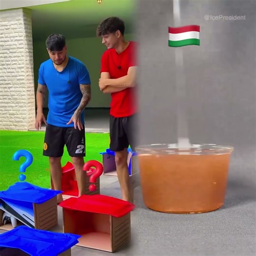 Red Box vs. Blue Box Which Do You Choose 😱