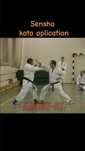 Kato Sensei Shows some applications of Sensho kata #karate #martialarts #sportmartialarts