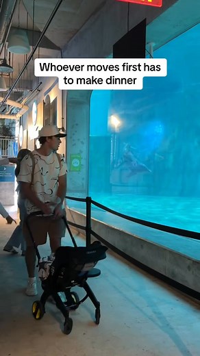 5.8K views · 57 reactions | doing this trend at the aquarium = people watching us film this 藍藍 SO AWKWARD #couplecomedy #couple #prank #couplegoals | Quincieandzach | Facebook