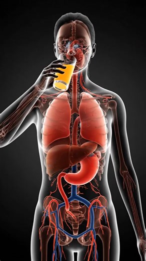 Engaging Health Science Experiment for Creative Crafts