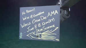 6.6K views · 403 reactions |  We are LIVE on Reddit answering your questions about all things ocean science—exploration, engineering, research, testing, identification—and science education and communications! Ask us anything! ➡️ https://bit.ly/OceanXAMA #AMA #WorldOceanDay | OceanX | Facebook