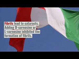 N-Acetyl-Carnosine Eyedrops and Cataracts