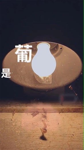身體說，血糖低了 神智不清