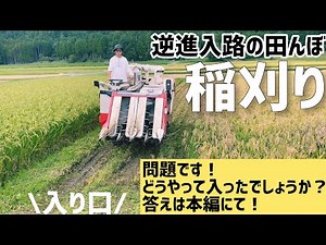 逆進入路の三角形田んぼを稲刈り！入り方や隅の刈り取り方法を解説！本編は07:35まで！作業後、まさやとだいちの定例会！（RICE IS COMEDY®︎）
