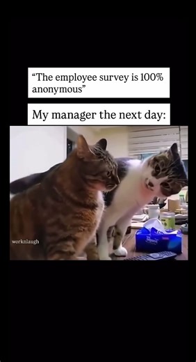 The employee survey is 100% anonymous😂 are we sure about rhat?! #youtubeshorts #relatable #memes