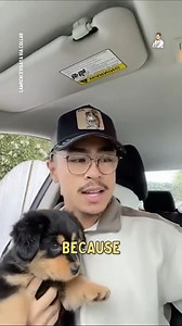 I like to call this the 'puppy pack' 🐶 | Dad Jokes