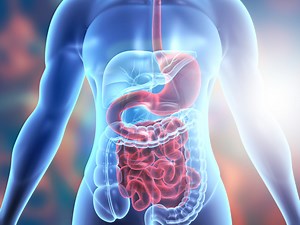 ANSM warning on Allurion gastric balloon: serious risks and complications detected | Emergency Live