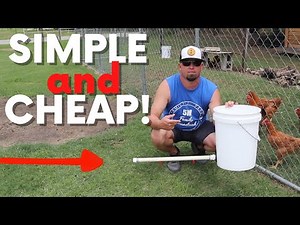Easy DIY Chicken Waterer