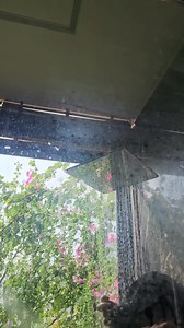 Nhà là nơi ấm áp ngọt ngào. Phòng tắm là nơi Linh yêu nhất =)). | Linh Thuy Ngo