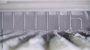 Rice factory. Cleaning and production of rice. Conveyor for packing rice and cereals. Stock Video