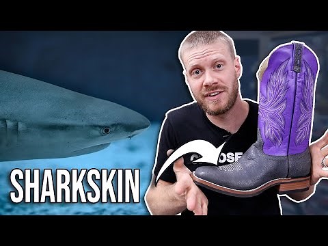 Hondo Sharkskin Boots Take a Bite Out of Life! | Quick Impression Review at Long Creek Outfitters