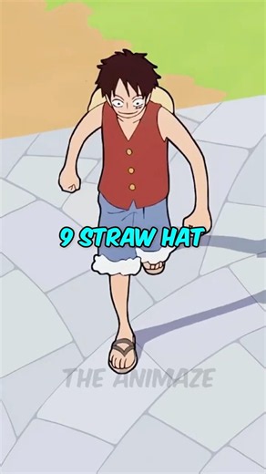The 10th Strawhat Might Never Join!