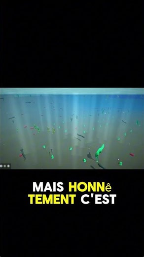 Observation détaillée des espèces animales et de leurs évolution #evolution #simulator #fyp