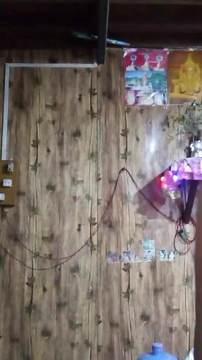 NO.LOVe သည် TikTok ပေါ်တွင် ရှိသည်