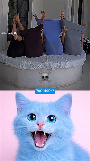 “Crazy Girls + Pillow Trick = Hilarious Moment 😱🤣” #funny #dance #cat #shorts