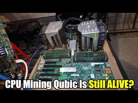 CPU Mining Qubic: The Surprising Post-Halving Results