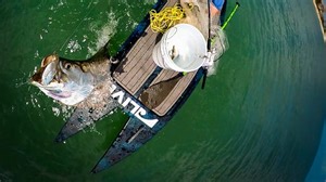 Tarpon still top the target list both on the beach and up the rivers, too