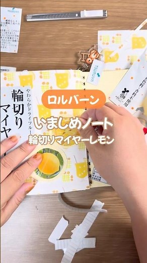 【ロルバーンの使い方！】いましめノート📖😋輪切りマイヤーレモン🍋 #ジャンクジャーナル #junkjournal #手帳デコ #ロルバーン #rollbahn