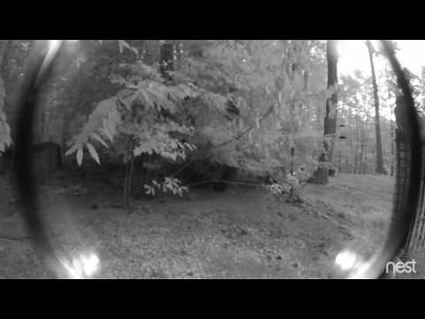 The Anatomy of a Fisher Cat Attack