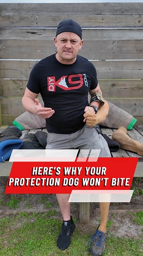 Alright folks, let’s talk about why your so-called protection dog might hesitate when it actually counts. 🔹 Dogs don’t naturally bite people – It has to be trained. 🔹 Bite sleeves ≠ real-world training – On the streets, bad guys don’t wear ‘em. 🔹 Proper gear is necessary – We use things like deerskin and pigskin gauntlets to bridge the gap. 🔹 Hesitation = danger – If a K9 pauses, officers can get hurt or worse. Big shoutout to Steve Sprouse for developing some of the best gear to make sure t