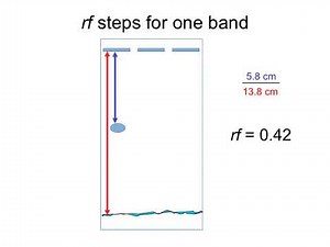 calculate rf gel