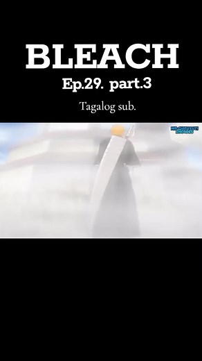 Bleach Episode 29 Part 3 Summary and Insights