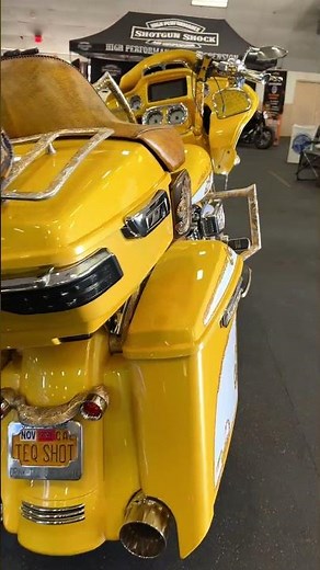 👉 This Gold Harley Bagger STOLE the Show at Chopper Fest