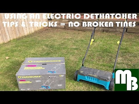 Using an Electric Dethatcher - Tips and Tricks