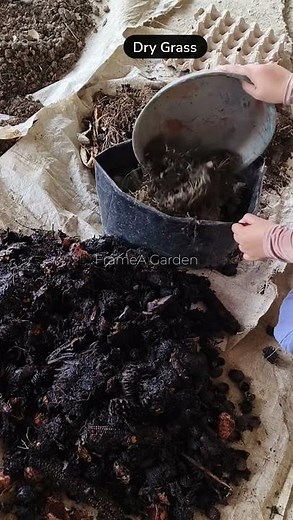 Making Simple Organic Potting Soil at Home