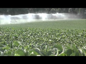 Science of Nitrogen Fixation